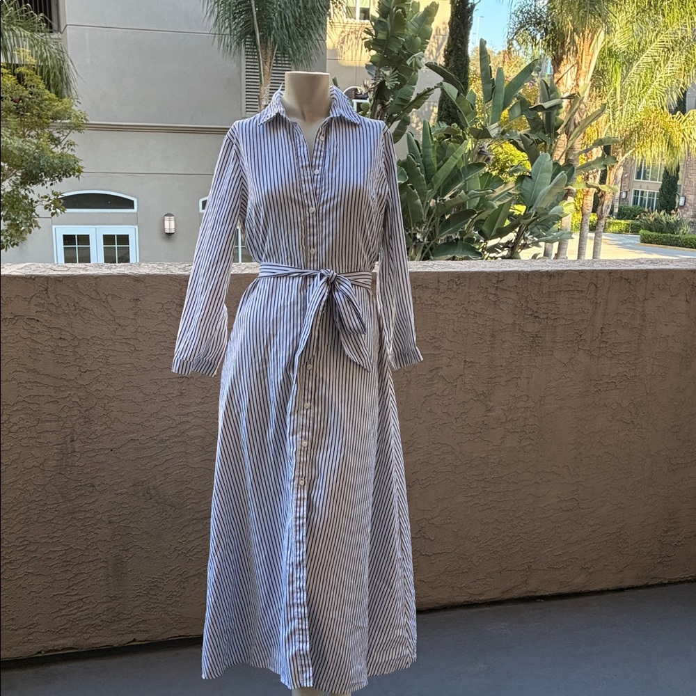 Purple Snow Blue & White Striped Long-Sleeve Shirt Dress